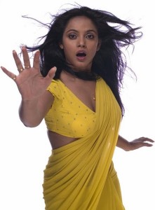 Actress Neetu Chandra Hot Saree Pictures 