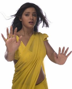 Actress Neetu Chandra Hot Saree Photos