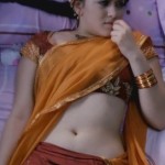 Hansika Motwani Hot Navel Photos in Velayutham Movie