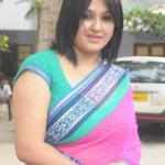 Sona Latest Sexy Images in Saree