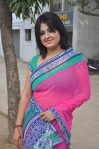 Sona Latest Sexy Images in Saree