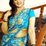 Aarthi Agarwal Hot Saree Photos Gallery
