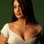 Actress Aditi Agarwal Hot Cleavage Show Images