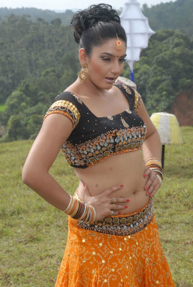 Ragini Dwivedi Hot Navel Photos in Villan Movie