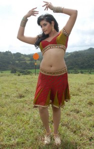 Ragini Dwivedi Hot Navel Photos in Villan Movie 