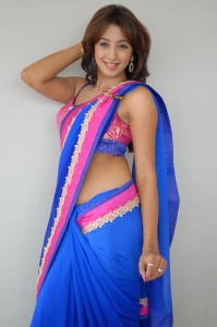 Sanjana Hot Sexy Photos in Transparent Saree 