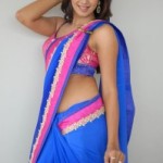 Sanjana Hot Sexy Images in Transparent Saree