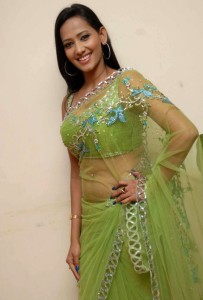 Sanjana Singh Navel Pics in Transparent Green Saree 