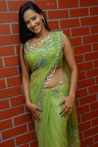 Sanjana Singh Sexy Navel Photos in Saree 
