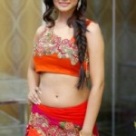 Shilpi Sharma Navel Photos At Trisha Pre Launch Fashion Show