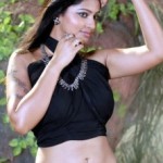Sneha Hot Sexy Navel Show Images 