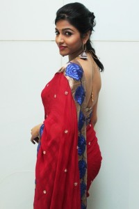Tamil Actress Dhansika Sexy Saree Photos 5